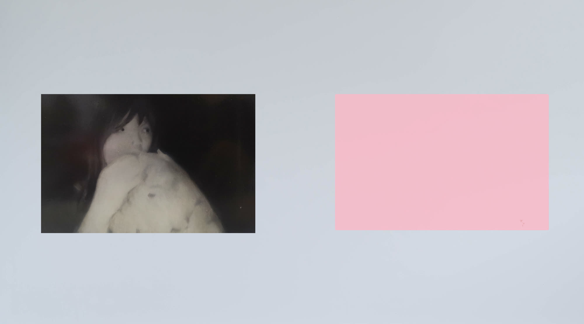 黃慧 Wong Wai，張儀君 Luna Cheong，霧視系列 Life Out of Focus Series，鋁板・油畫顏料・有機玻璃 · 2018